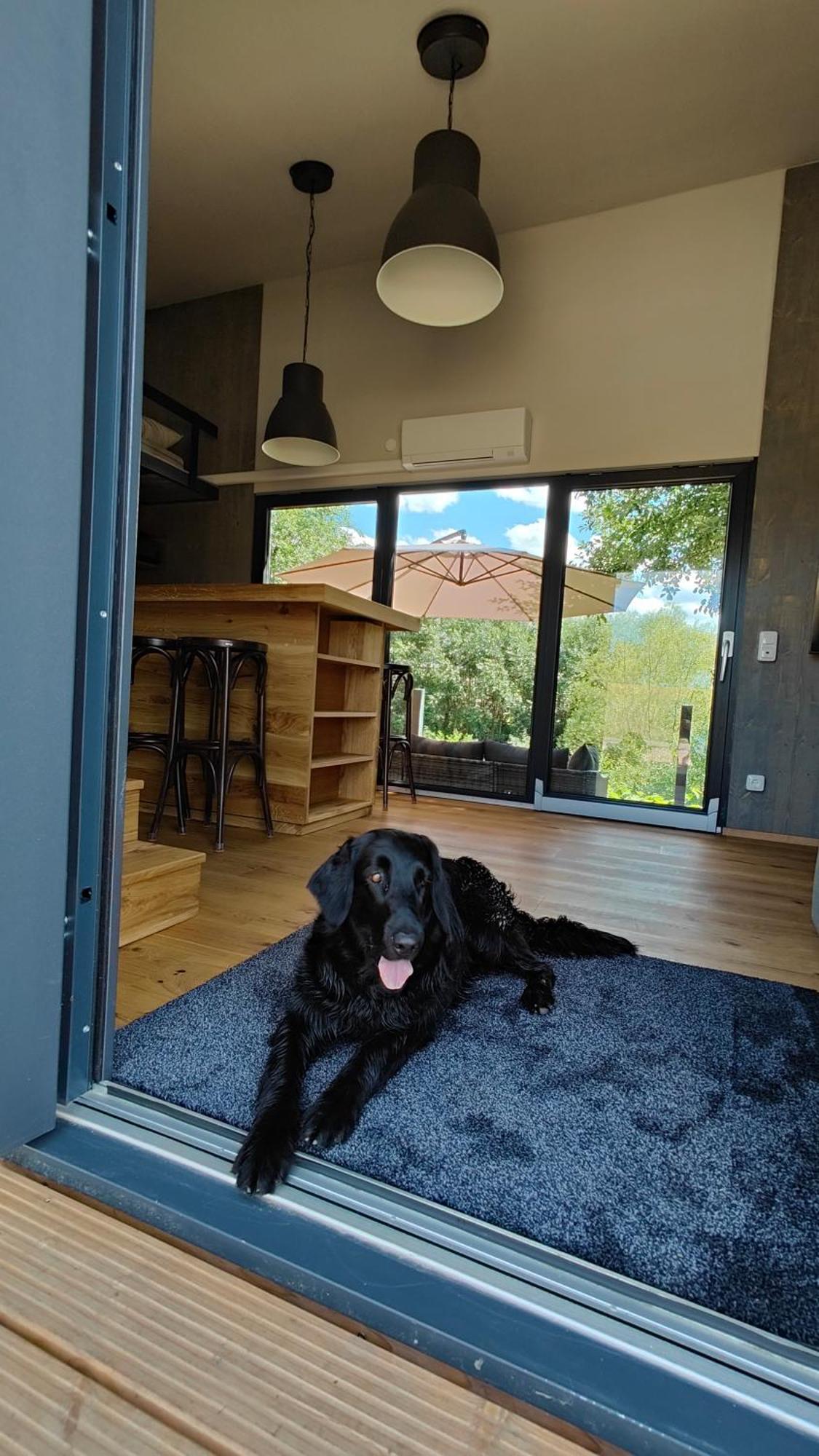 Villa Tinyhousebeidresden 3 Fuer 2 - 7 Personen, Naehe Saechsische Schweiz, Dresden, Mit Badeteich Großharthau Exterior foto