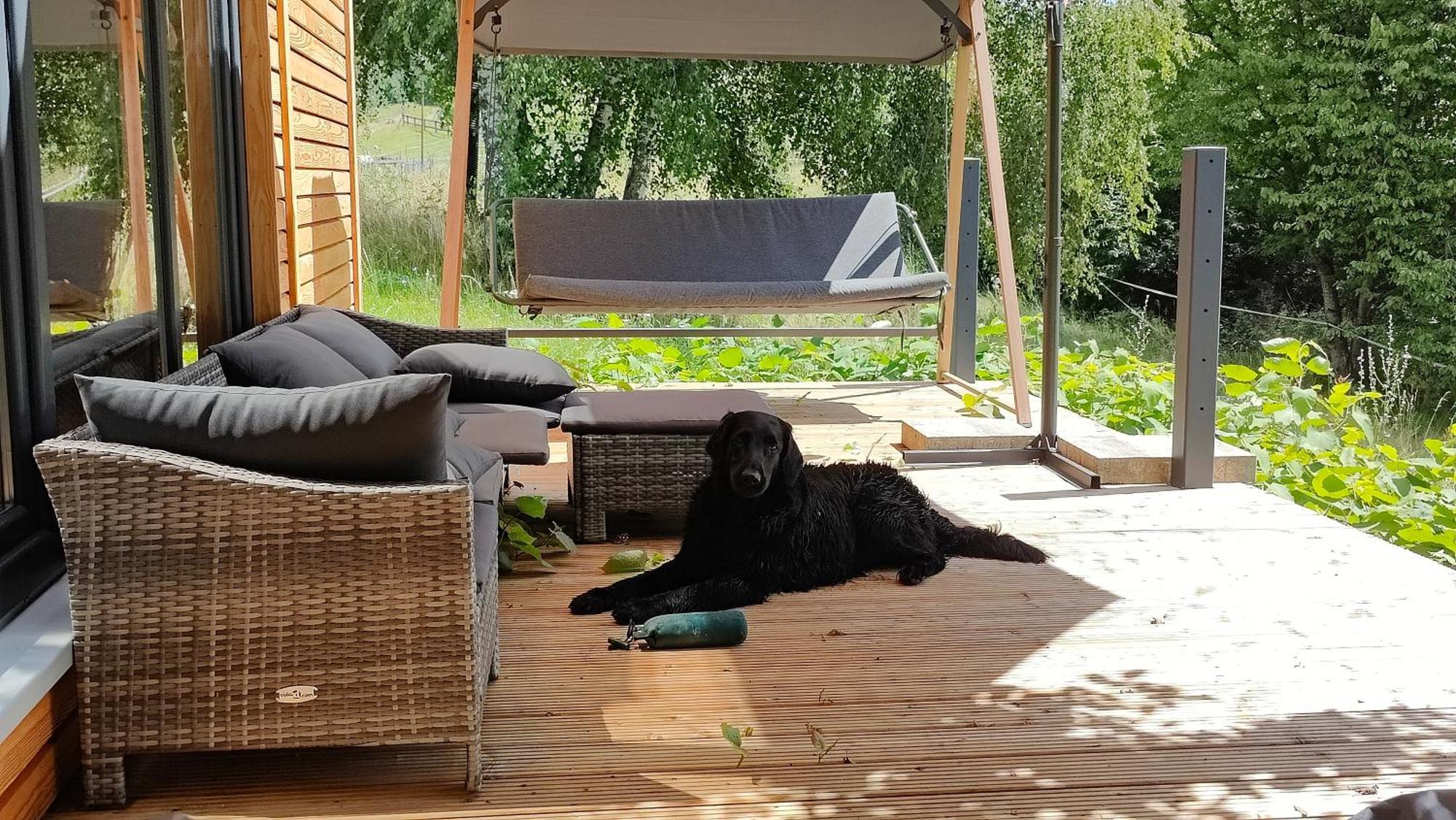 Villa Tinyhousebeidresden 3 Fuer 2 - 7 Personen, Naehe Saechsische Schweiz, Dresden, Mit Badeteich Großharthau Exterior foto